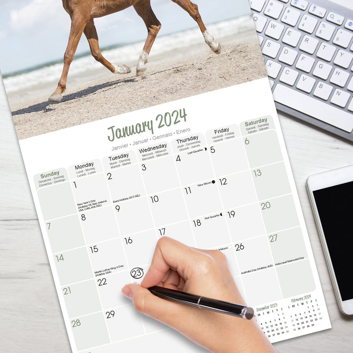 2024 Arabian Horses Wall Calendar Exclusive) — Calendar Club