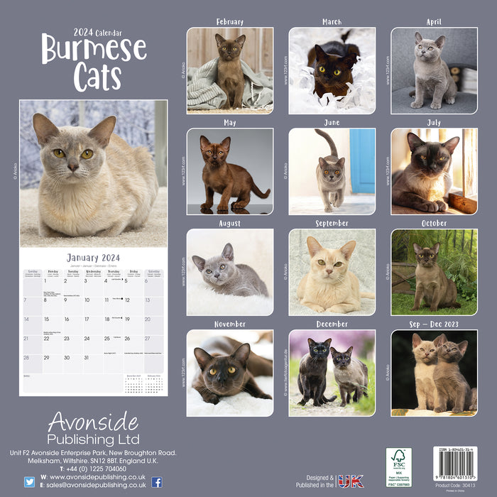2024 Burnese Cats Wall Calendar