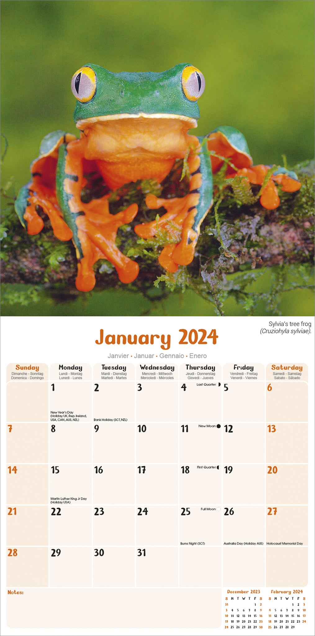 2024 Frogs Wall Calendar — Calendar Club