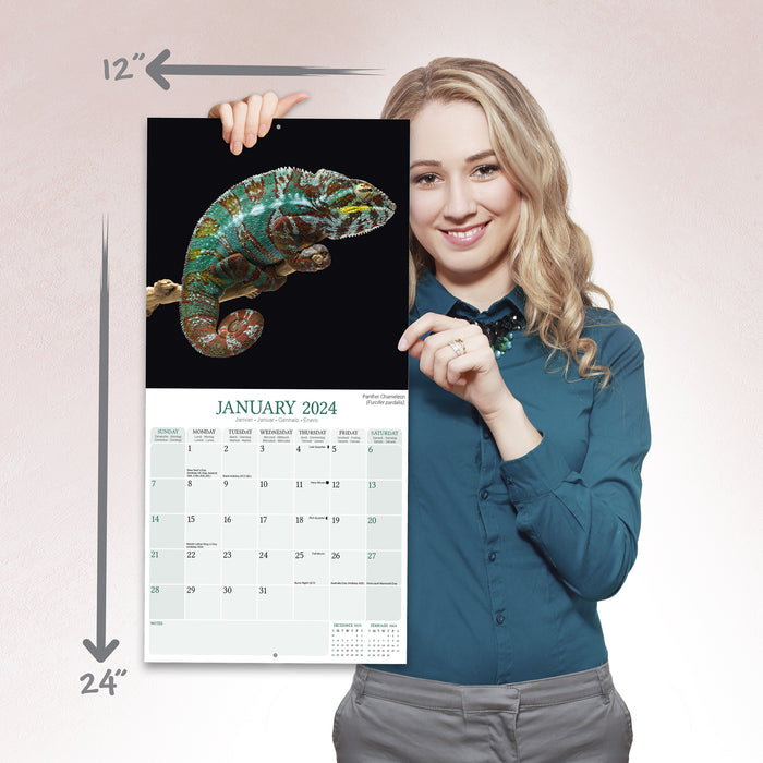 2024 Lizards Wall Calendar (Online Exclusive)