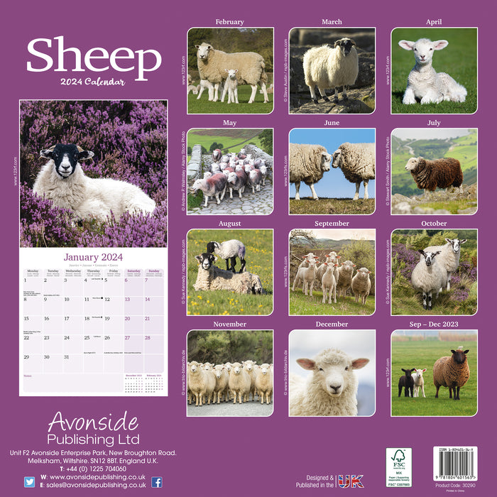 2024 Sheep Wall Calendar (Online Exclusive)