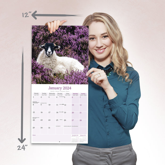 2024 Sheep Wall Calendar (Online Exclusive)