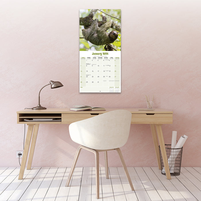 2024 Sloths Wall Calendar (Online Exclusive)