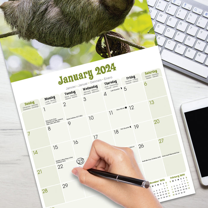 2024 Sloths Wall Calendar (Online Exclusive)