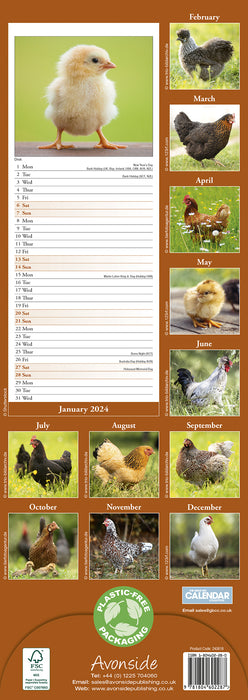 2024 Chickens Slimline Calendar
