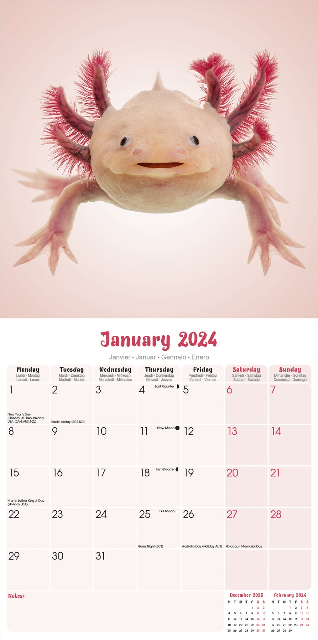 2024 Axolotls Wall Calendar Exclusive) — Calendar Club