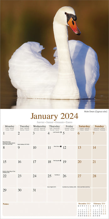 2024 Waterbirds Wall Calendar (Online Exclusive)