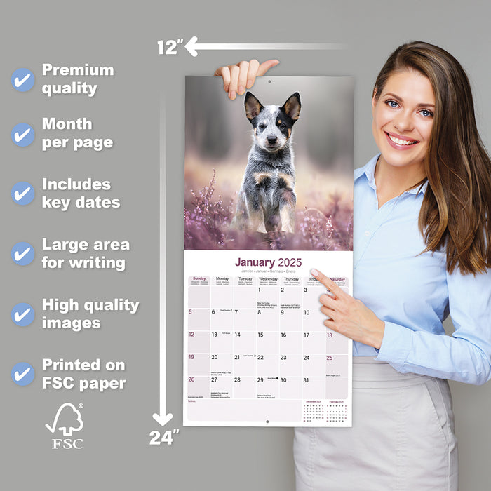 2025 Australian Cattle Dog Wall Calendar
