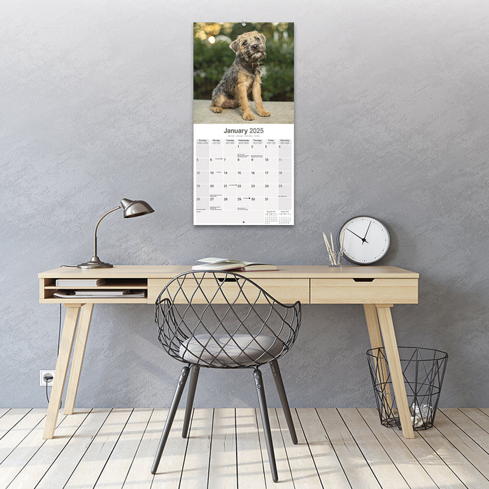 2025 Border Terrier Wall Calendar (Online Exclusive)
