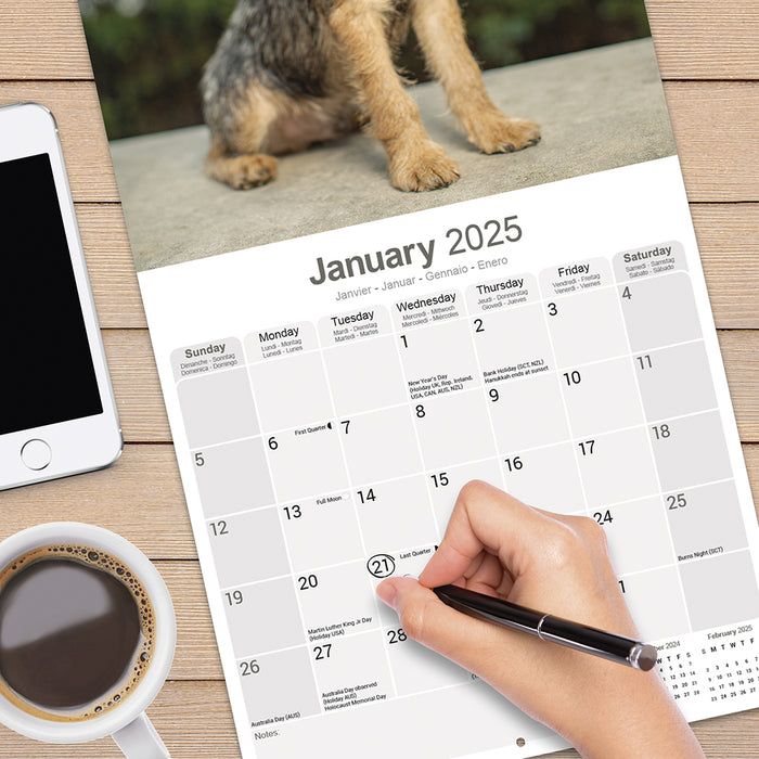 2025 Border Terrier Wall Calendar (Online Exclusive)