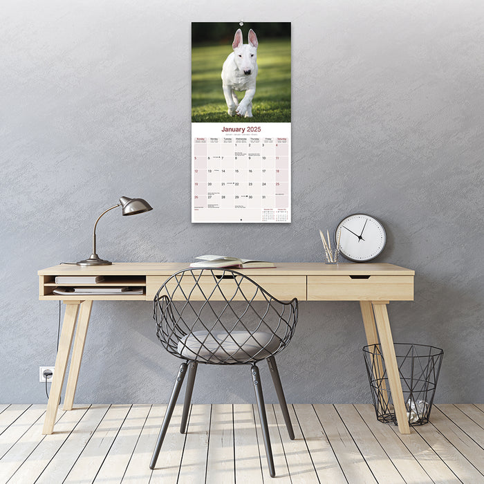 2025 Bull Terrier Wall Calendar