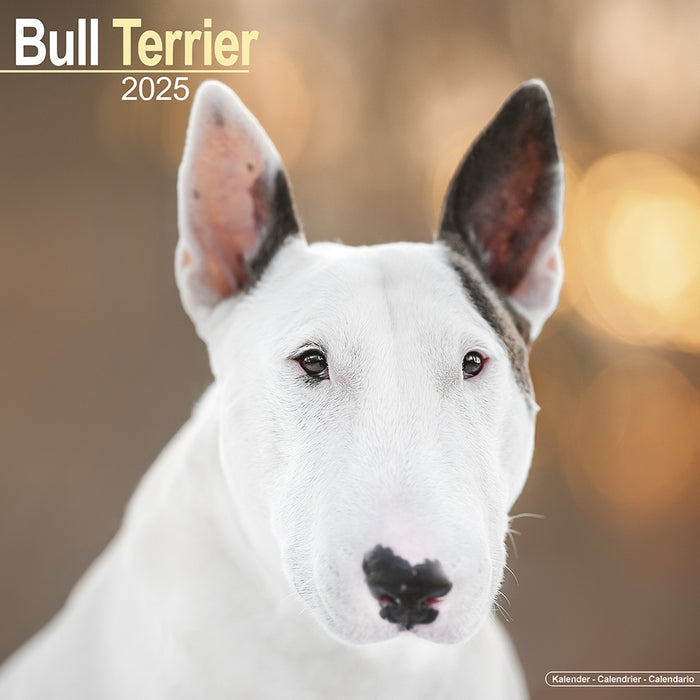 2025 Bull Terrier Wall Calendar