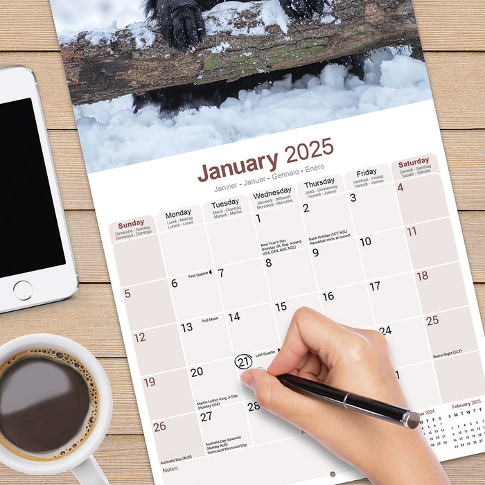 2025 Flatcoated Retriever Wall Calendar (Online Exclusive)