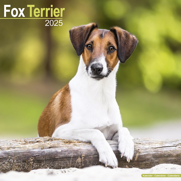 2025 Fox Terrier Wall Calendar (Online Exclusive)