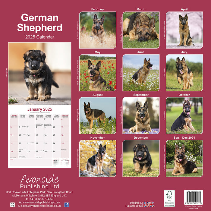 2025 German Shepherd Wall Calendar
