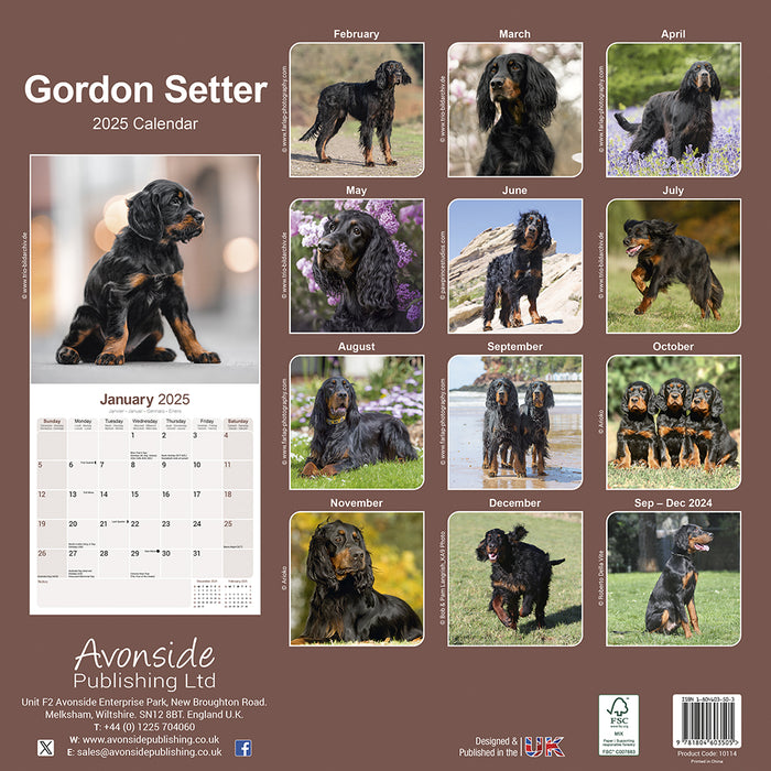 2025 Gordon Setter Wall Calendar (Online Exclusive)