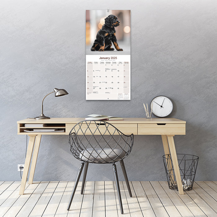 2025 Gordon Setter Wall Calendar (Online Exclusive)