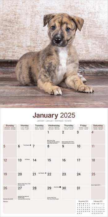 2025 Greyhound Wall Calendar