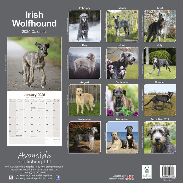 2025 Irish Wolfhound Wall Calendar (Online Exclusive)