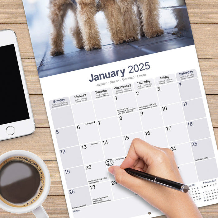 2025 Welsh Terrier Wall Calendar (Online Exclusive)