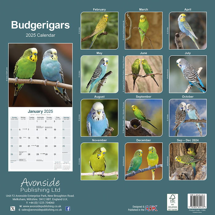 2025 Budgerigar Wall Calendar (Online Exclusive)
