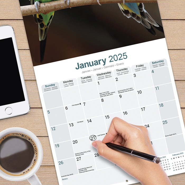 2025 Budgerigar Wall Calendar (Online Exclusive)