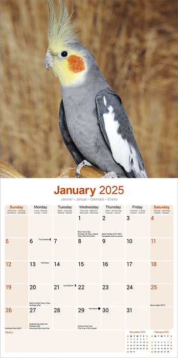 2025 Cockatiels Wall Calendar (Online Exclusive)