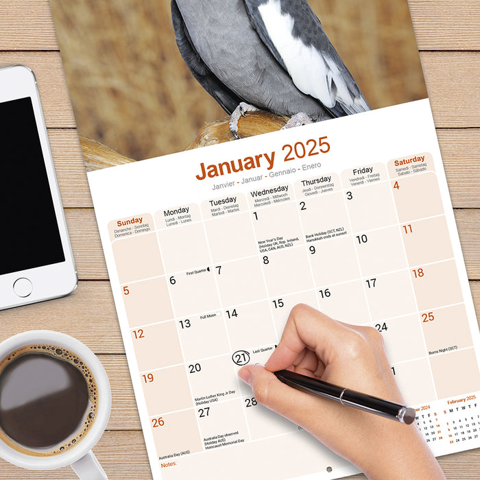2025 Cockatiels Wall Calendar (Online Exclusive)