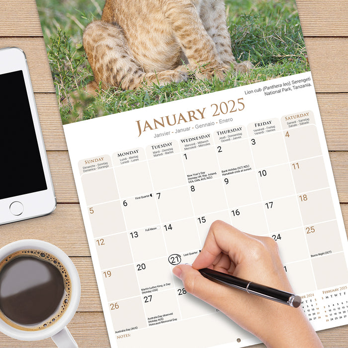 2025 African Wildlife Wall Calendar (Online Exclusive)