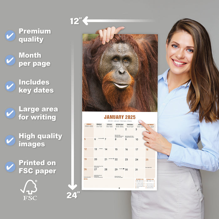2025 Apes Wall Calendar (Online Exclusive)
