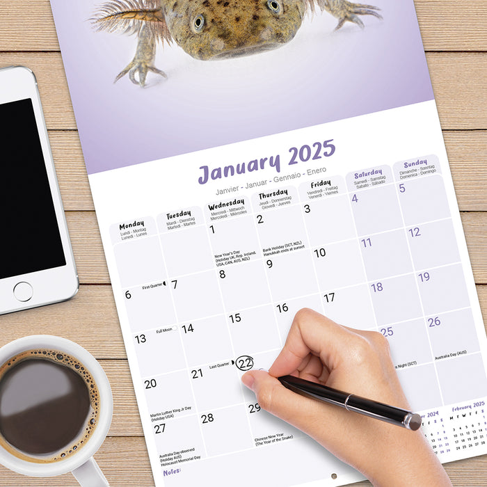 2025 Axolotls Wall Calendar (Online Exclusive)