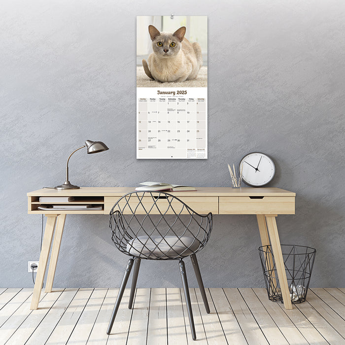 2025 Cats Burmese Wall Calendar