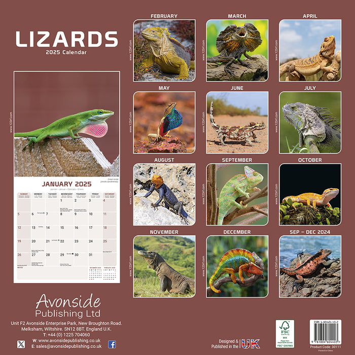 2025 Lizards Wall Calendar
