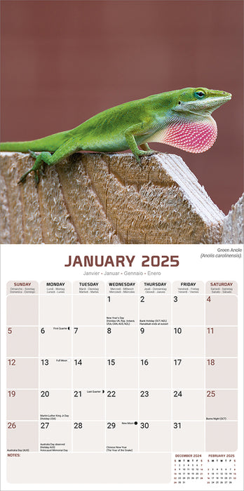 2025 Lizards Wall Calendar