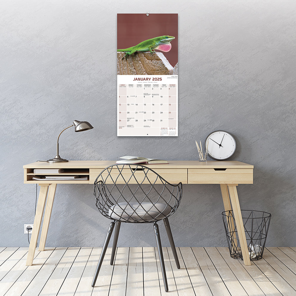 Calendar Club 2025 Lizards Wall Calendar