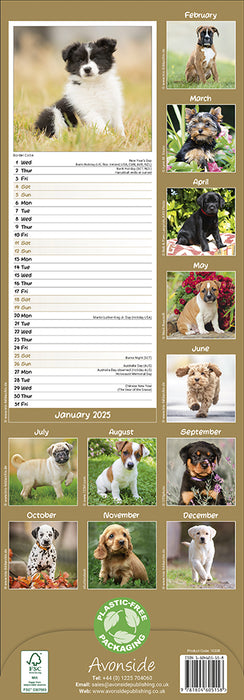 2025 Puppies Slimline Wall Calendar