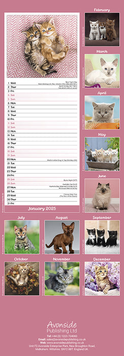 2025 Kittens Slimline Wall Calendar