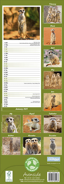 2025 Meerkats Slimline Wall Calendar