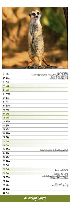 2025 Meerkats Slimline Wall Calendar