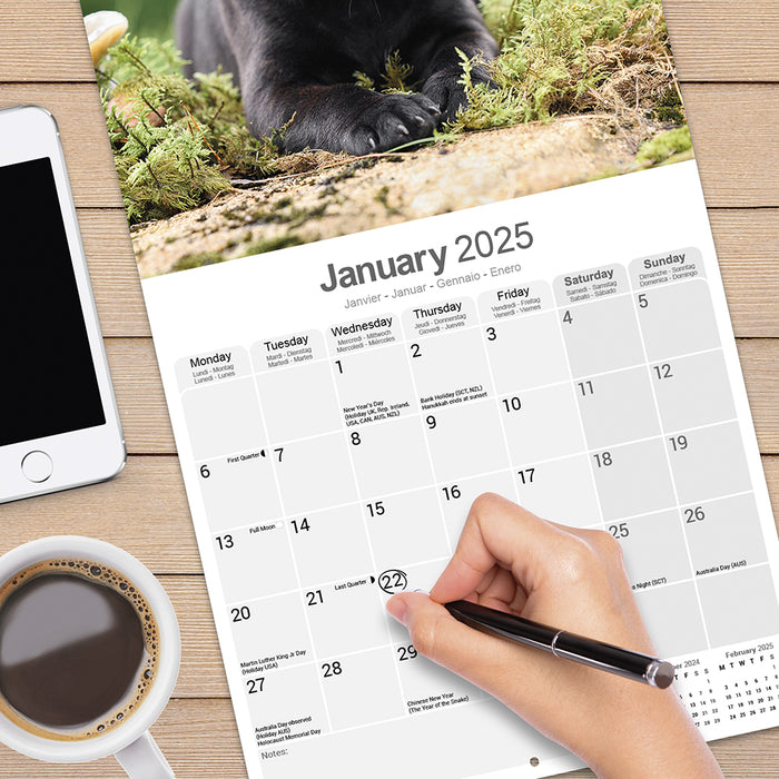 2025 Staffordshire Bull Terrier Wall Calendar
