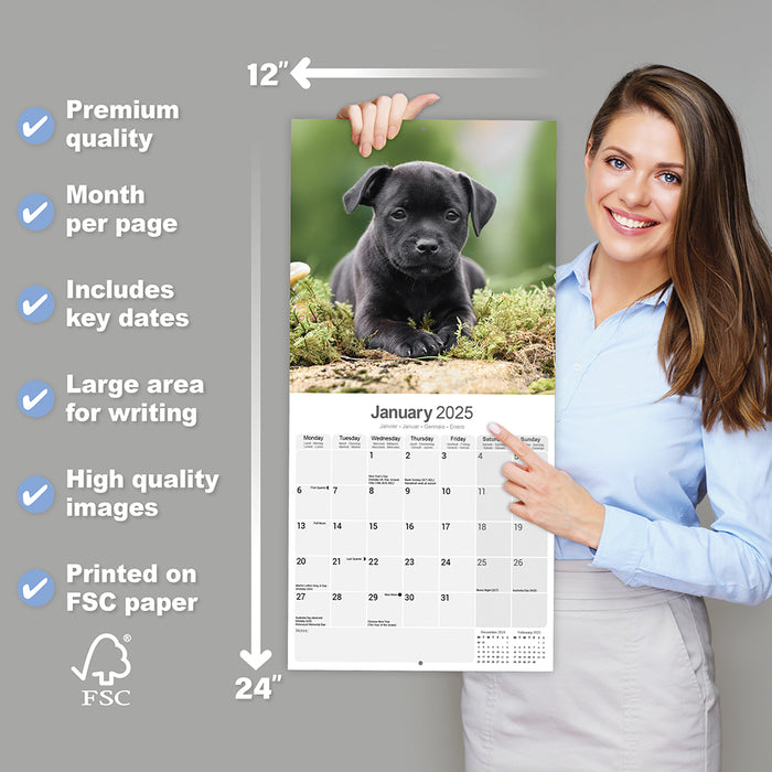 2025 Staffordshire Bull Terrier Wall Calendar