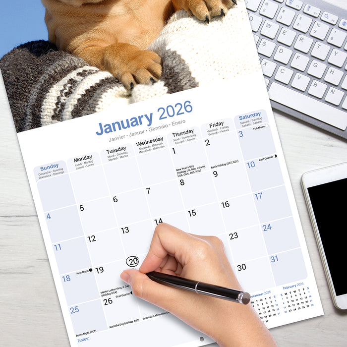 Bull Mastiff 2026 Square Wall Calendar (Online Exclusive)