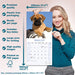 Bull Mastiff 2026 Square Wall Calendar (Online Exclusive)