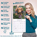 Longhaired Dachshund 2026 Square Wall Calendar (Online Exclusive)