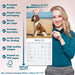 English Springer Spaniel Euro 2026 Square Wall Calendar