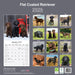 Flatcoated Retriever 2026 Square Wall Calendar (Online Exclusive)