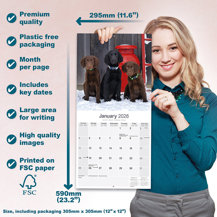 Flatcoated Retriever 2026 Square Wall Calendar (Online Exclusive)