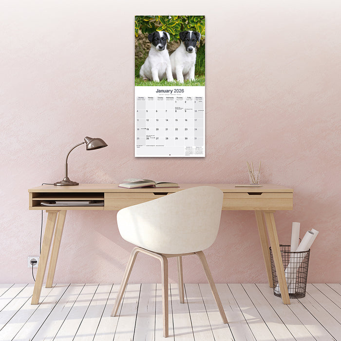 Fox Terrier 2026 Square Wall Calendar (Online Exclusive)
