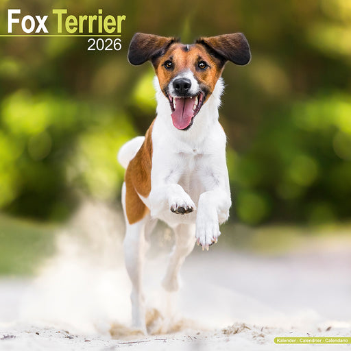 Fox Terrier 2026 Square Wall Calendar (Online Exclusive)