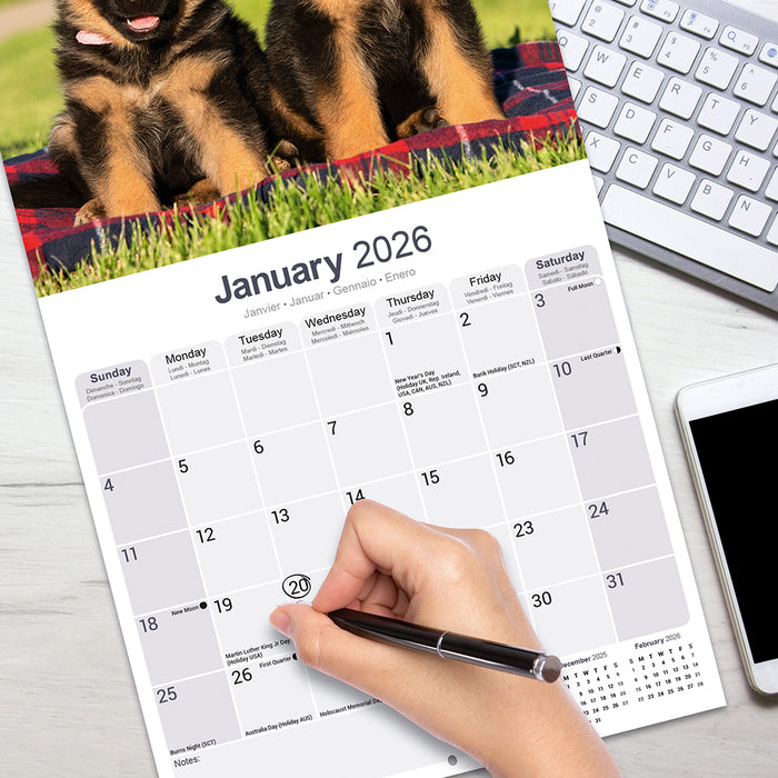 Calendar Club German Shepherd 2026 Square Wall Calendar calendar-club-german-shepherd-2026-square-wall-calendar